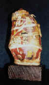 boiga.jpg (45762 bytes)